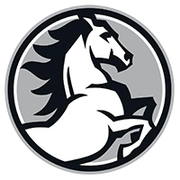 رخش خودرو تبریز logo