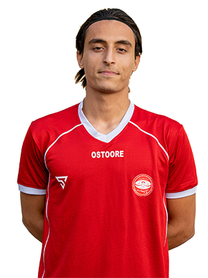 میلاد مردانی