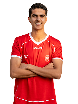 نیما مهماندوست